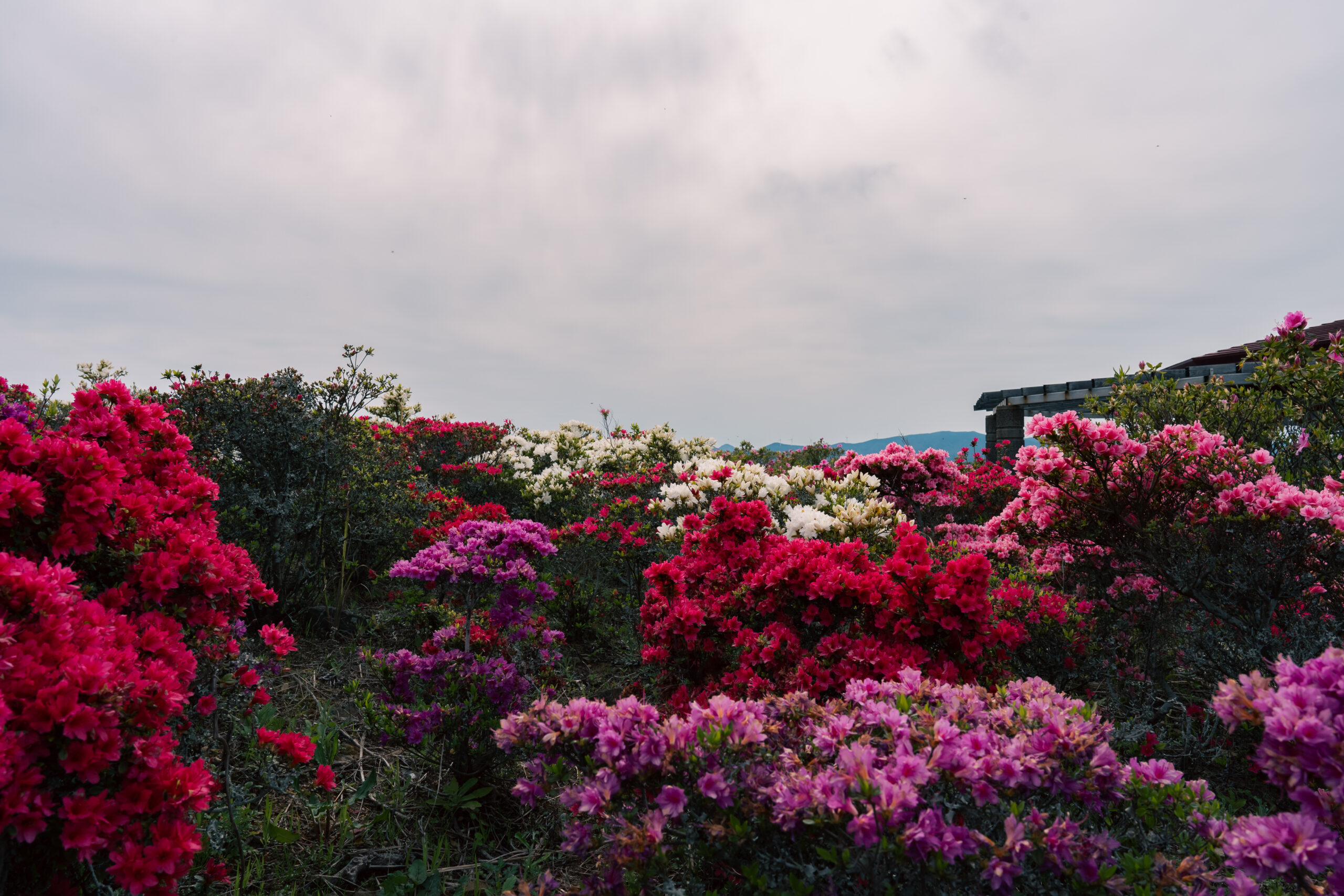 長串山公園